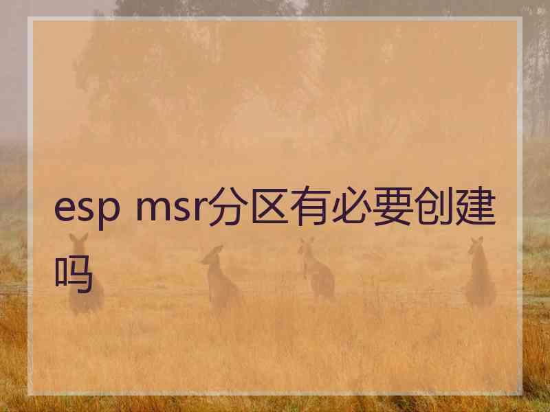 esp msr分区有必要创建吗