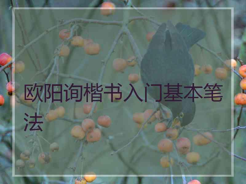 欧阳询楷书入门基本笔法