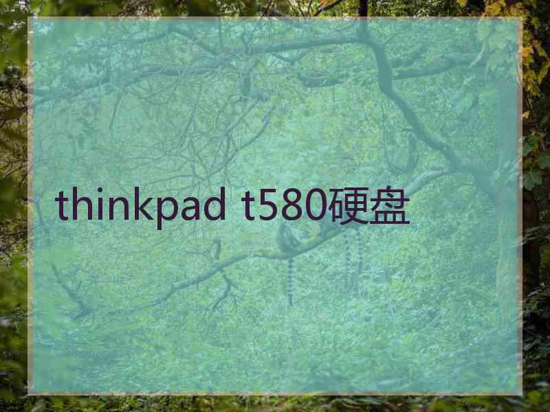 thinkpad t580硬盘