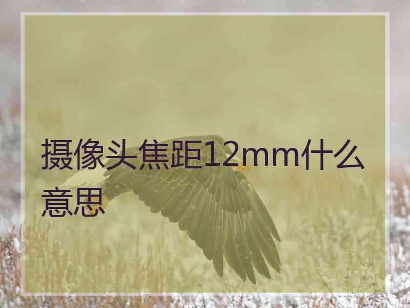 摄像头焦距12mm什么意思