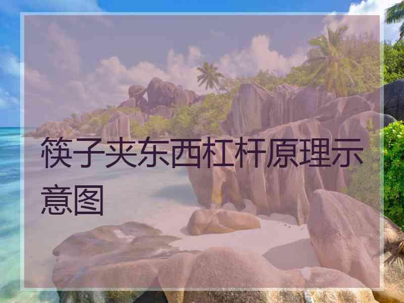 筷子夹东西杠杆原理示意图