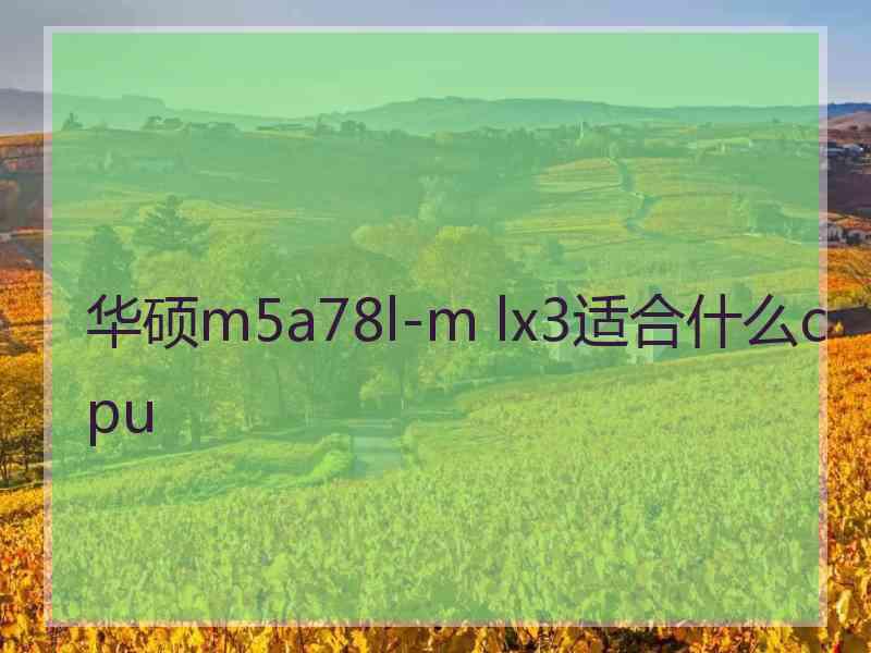 华硕m5a78l-m lx3适合什么cpu