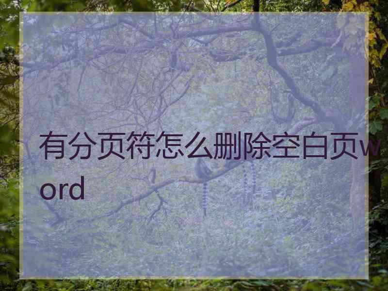 有分页符怎么删除空白页word