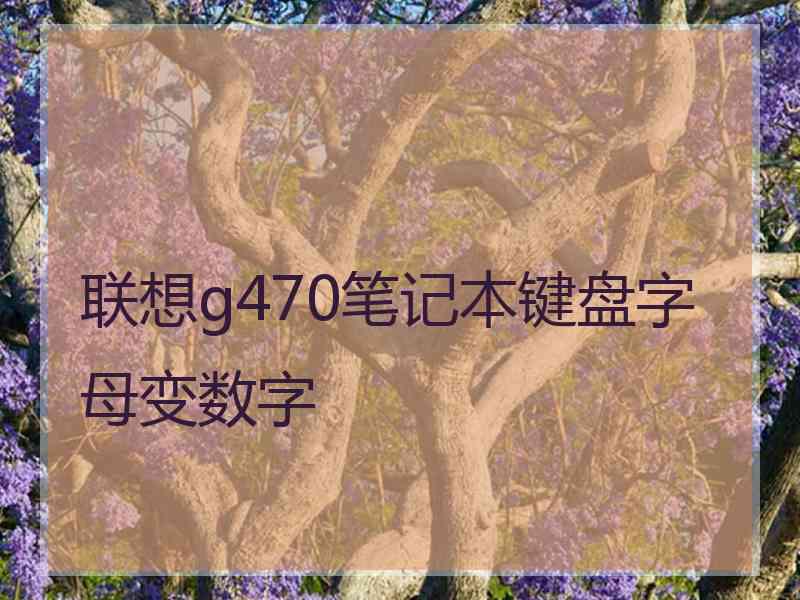 联想g470笔记本键盘字母变数字