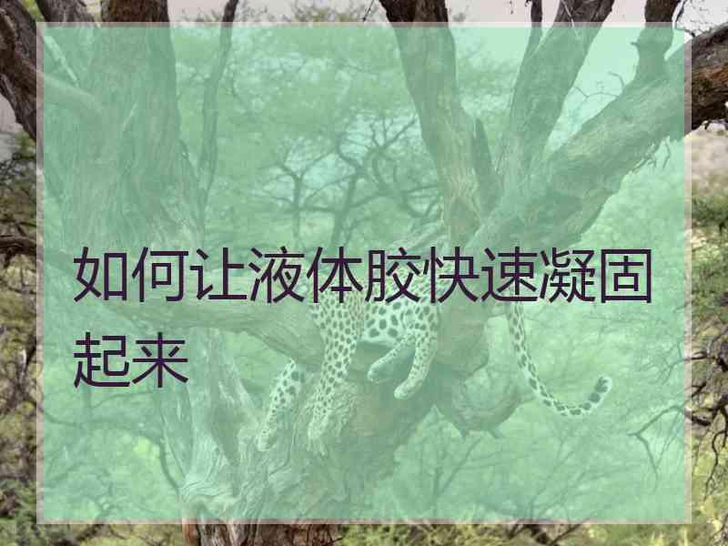 如何让液体胶快速凝固起来