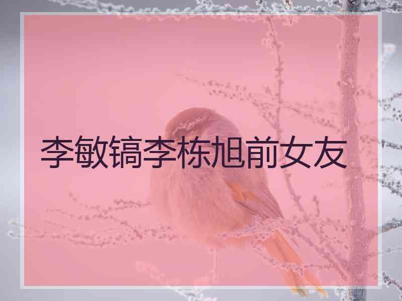 李敏镐李栋旭前女友