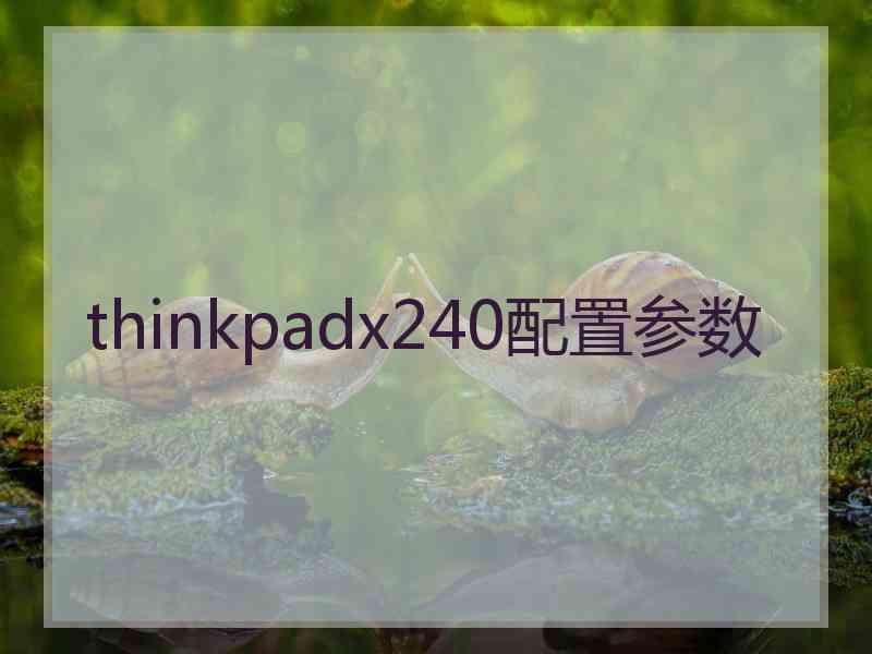 thinkpadx240配置参数