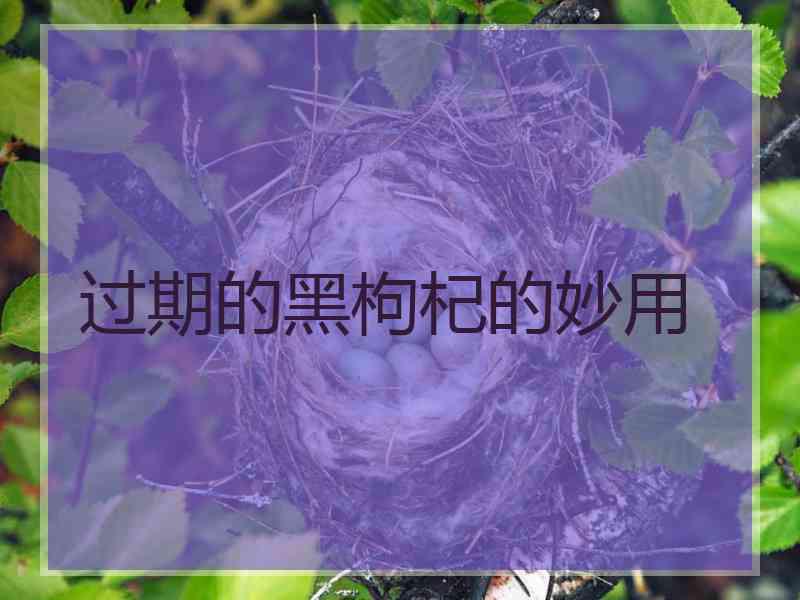 过期的黑枸杞的妙用