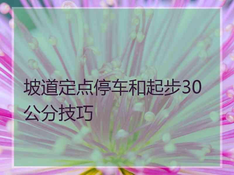 坡道定点停车和起步30公分技巧