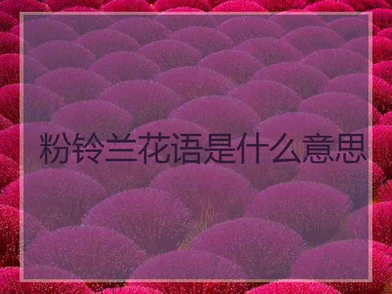 粉铃兰花语是什么意思