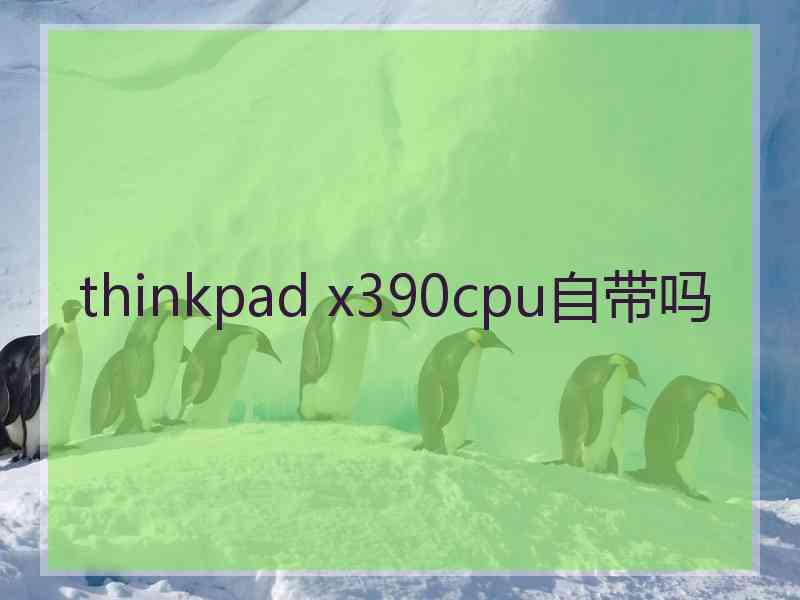 thinkpad x390cpu自带吗