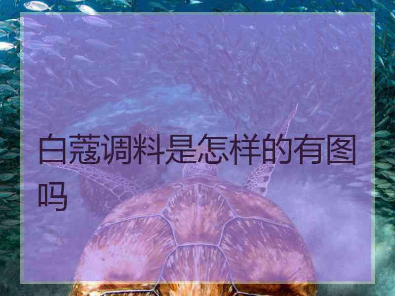 白蔻调料是怎样的有图吗