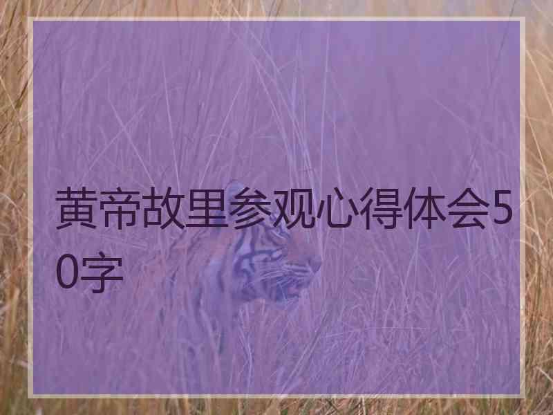 黄帝故里参观心得体会50字