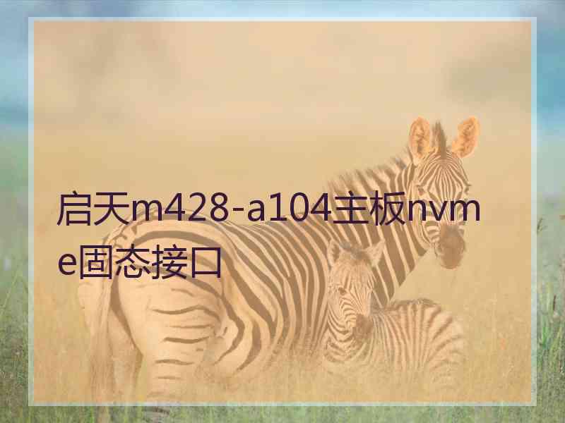 启天m428-a104主板nvme固态接口