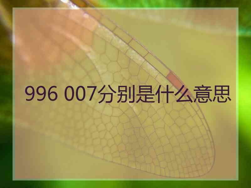 996 007分别是什么意思