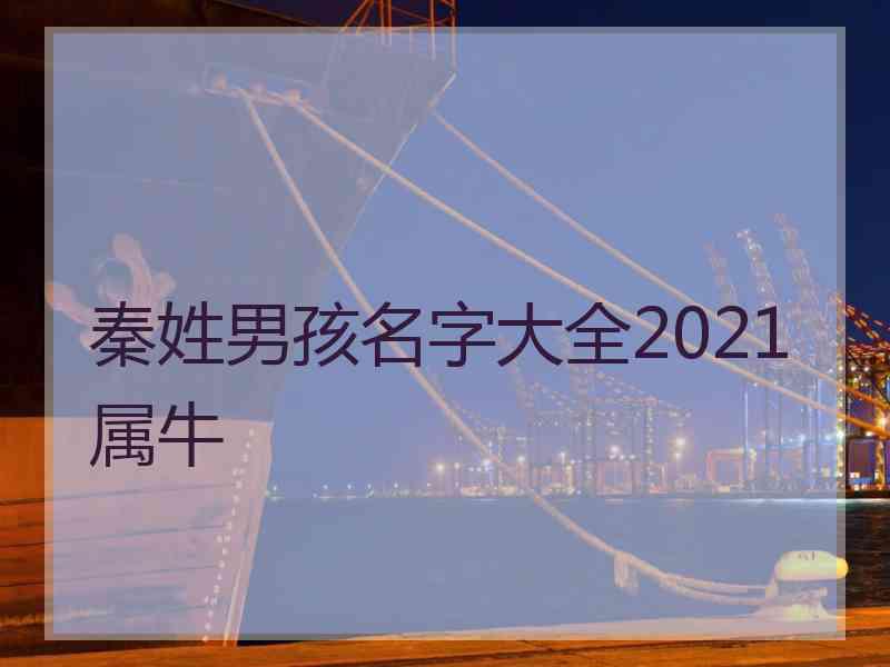 秦姓男孩名字大全2021属牛