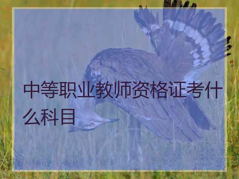 中等职业教师资格证考什么科目