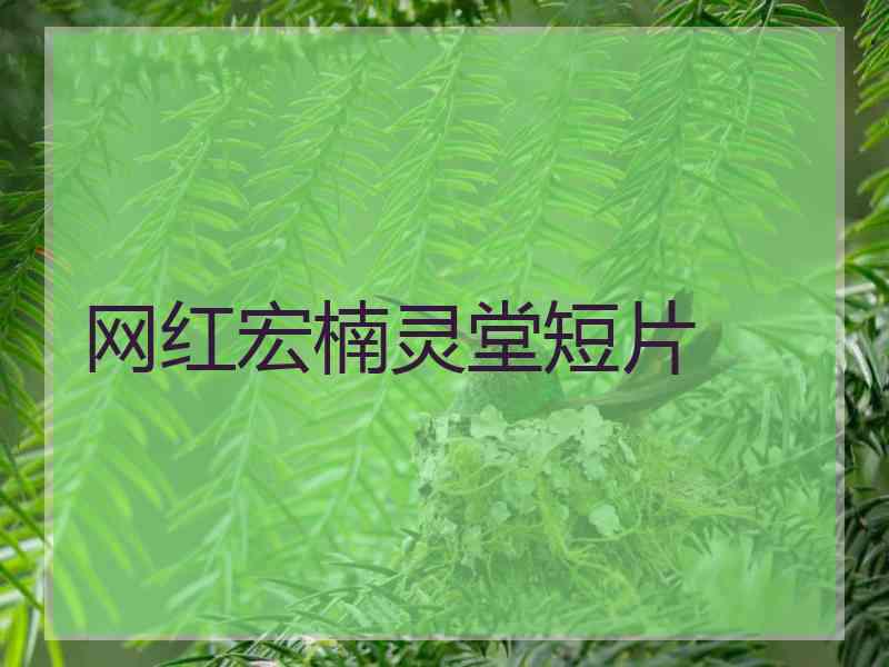 网红宏楠灵堂短片