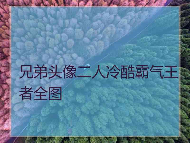 兄弟头像二人冷酷霸气王者全图