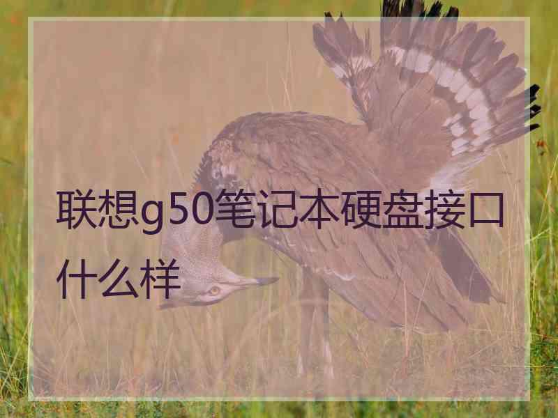 联想g50笔记本硬盘接口什么样