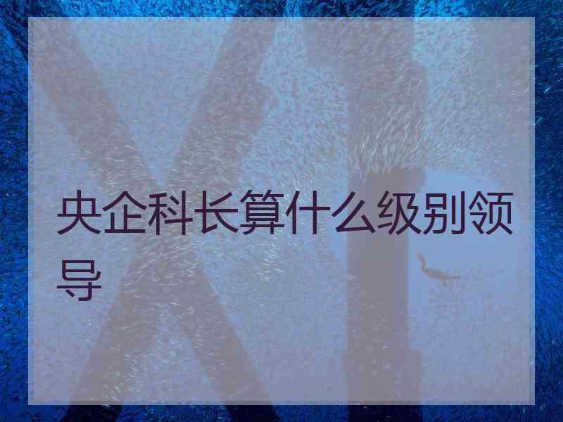 央企科长算什么级别领导