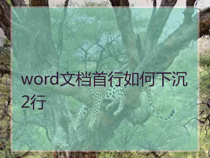 word文档首行如何下沉2行