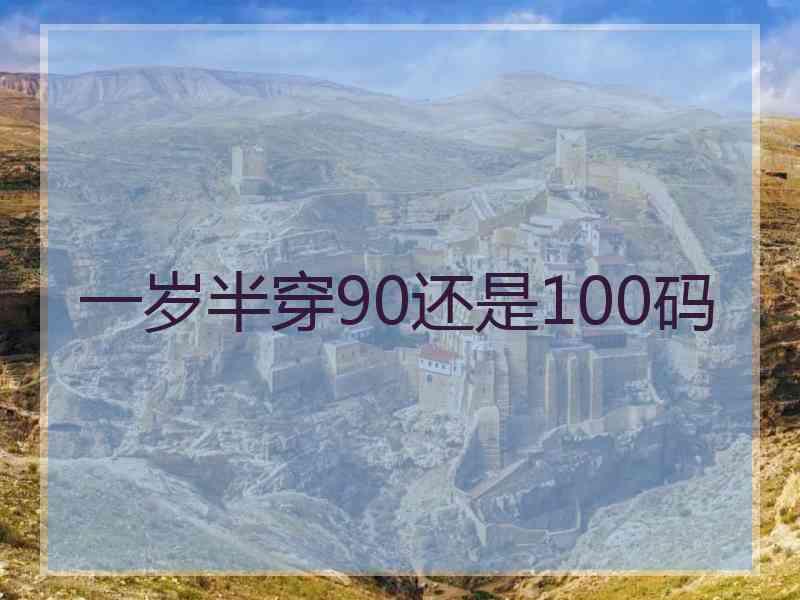 一岁半穿90还是100码