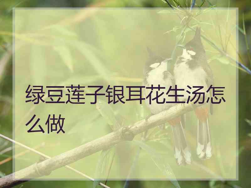 绿豆莲子银耳花生汤怎么做