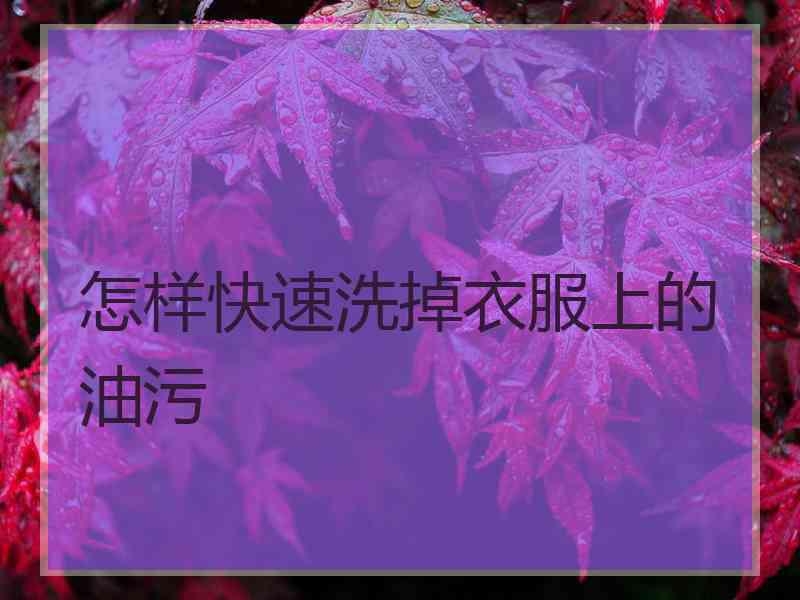 怎样快速洗掉衣服上的油污