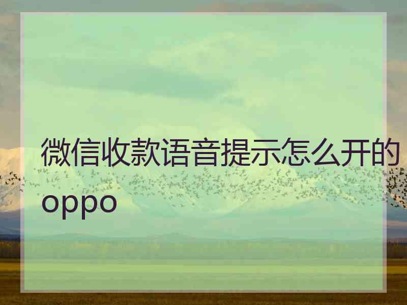 微信收款语音提示怎么开的oppo