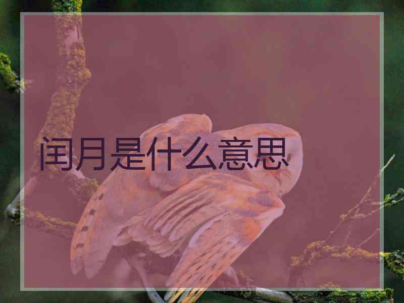 闰月是什么意思