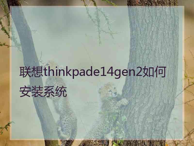 联想thinkpade14gen2如何安装系统