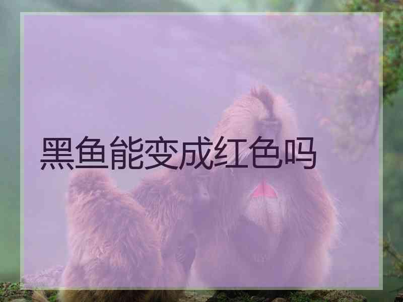 黑鱼能变成红色吗