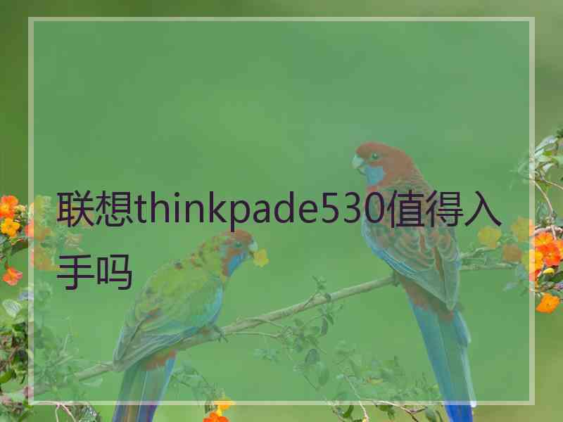 联想thinkpade530值得入手吗