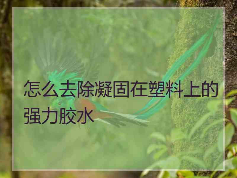 怎么去除凝固在塑料上的强力胶水