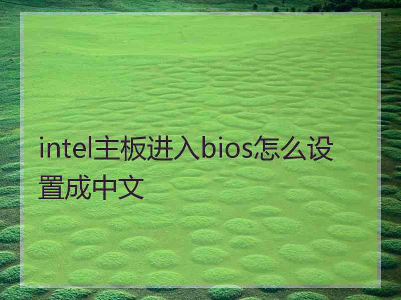 intel主板进入bios怎么设置成中文