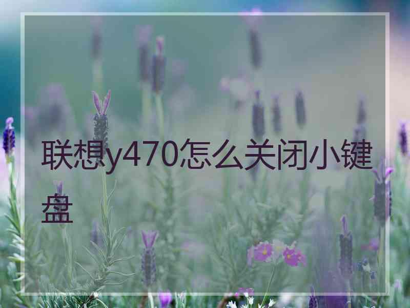 联想y470怎么关闭小键盘