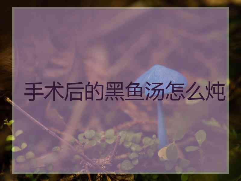 手术后的黑鱼汤怎么炖