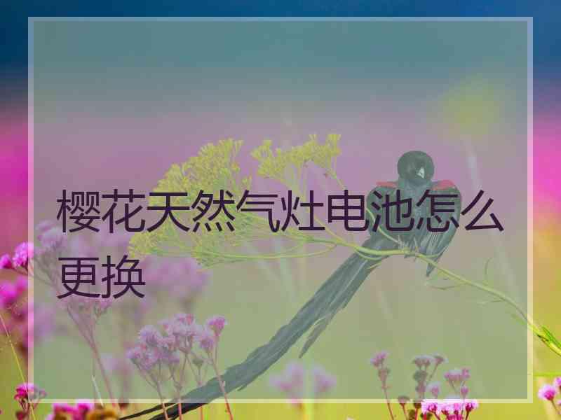 樱花天然气灶电池怎么更换