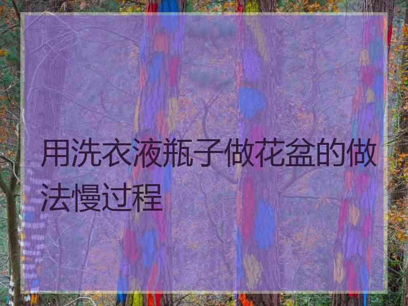 用洗衣液瓶子做花盆的做法慢过程