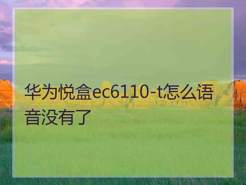 华为悦盒ec6110-t怎么语音没有了