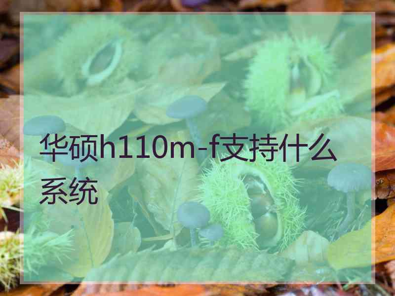 华硕h110m-f支持什么系统