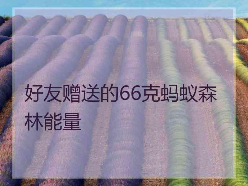 好友赠送的66克蚂蚁森林能量