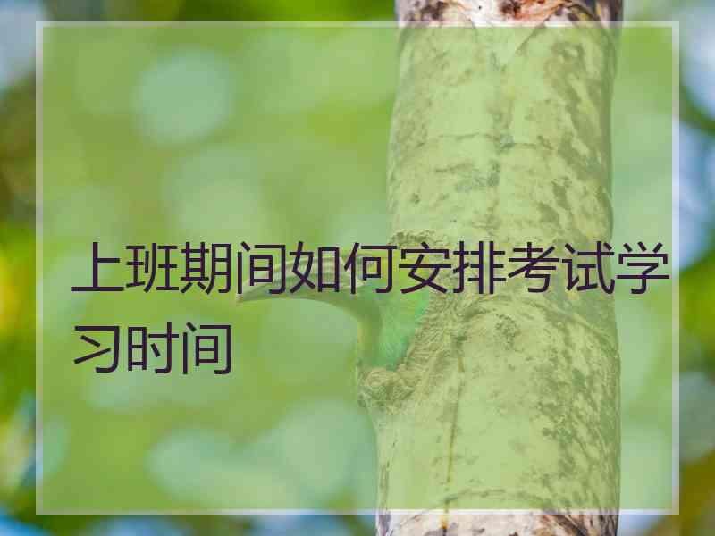 上班期间如何安排考试学习时间