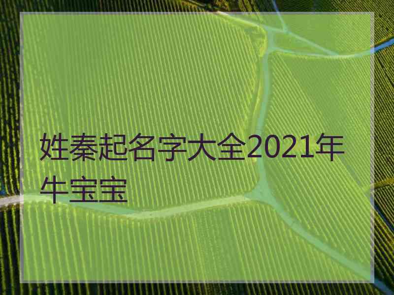 姓秦起名字大全2021年牛宝宝