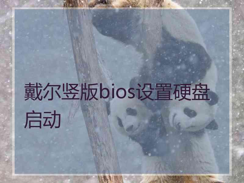 戴尔竖版bios设置硬盘启动