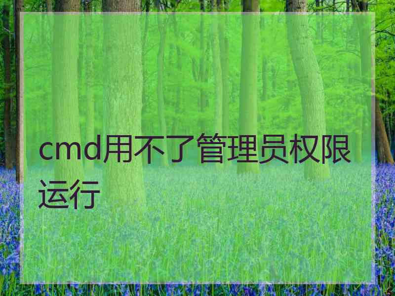 cmd用不了管理员权限运行