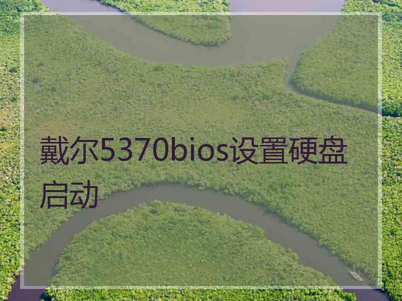 戴尔5370bios设置硬盘启动