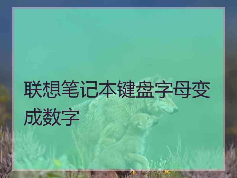 联想笔记本键盘字母变成数字