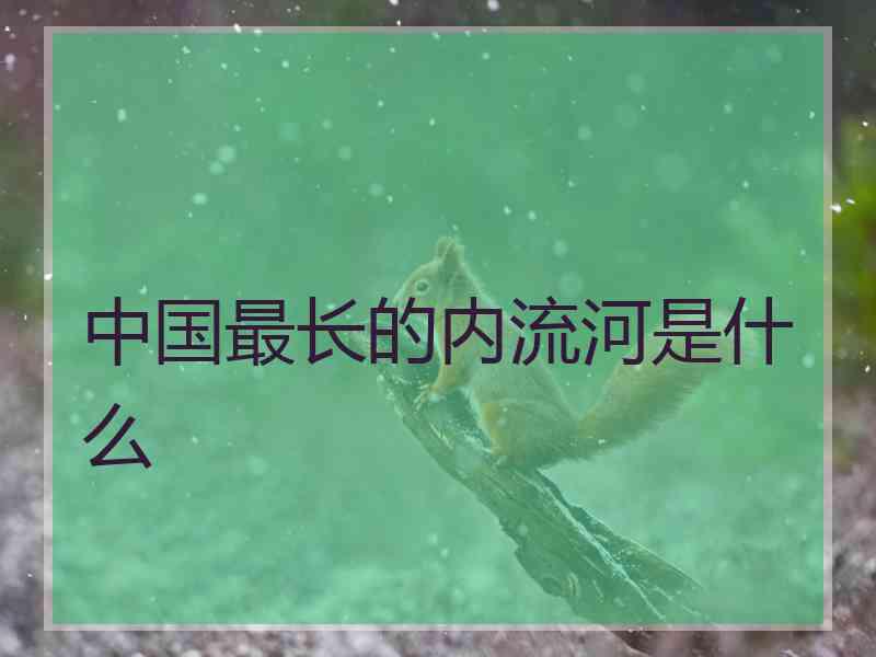 中国最长的内流河是什么